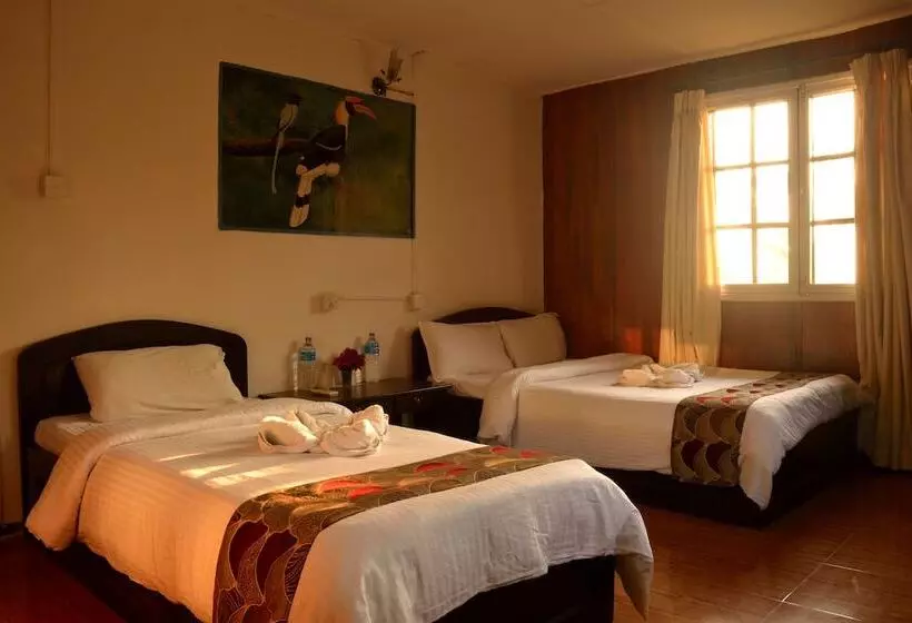 Fotos del hotel Jungle World Resort:  11