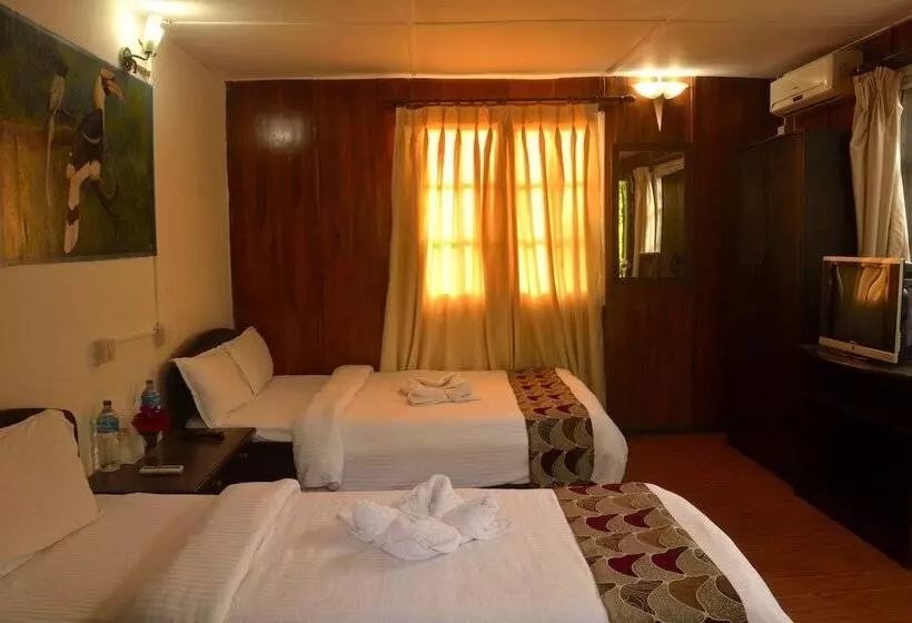 Fotos del hotel Jungle World Resort:  14