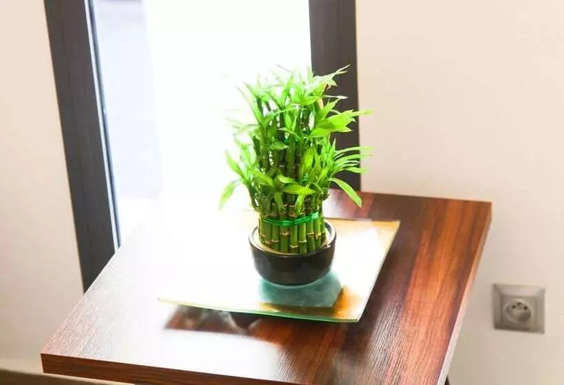 Fotos del hotel Smarts:  9