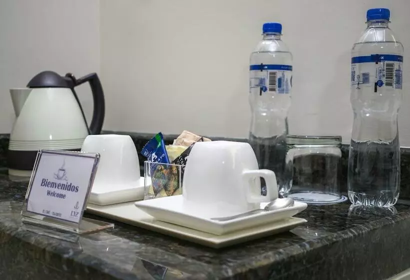 Fotos del hotel Lyz Business:  22