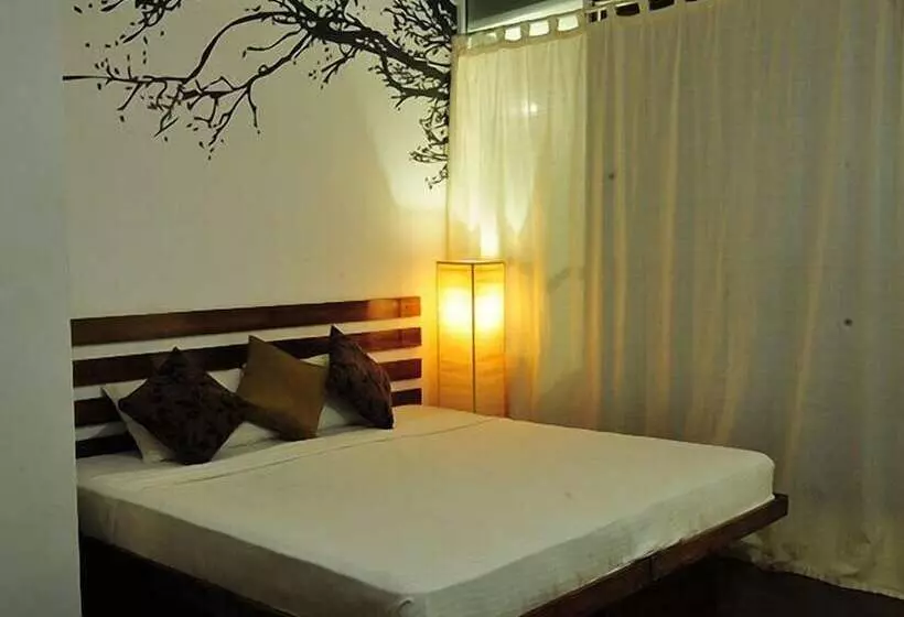 Fotos del hotel Lake Wind Resort:  25