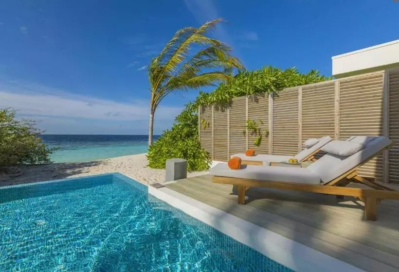 Fotos del hotel Dhigali Maldives A Premium All Inclusive Resort:  16