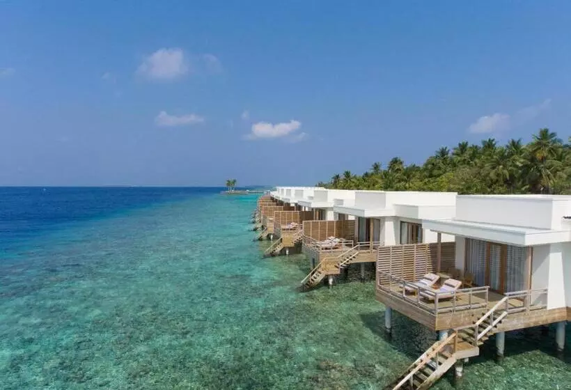 Fotos del hotel Dhigali Maldives A Premium All Inclusive Resort:  11