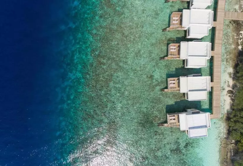 Fotos del hotel Dhigali Maldives A Premium All Inclusive Resort:  13
