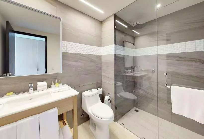 Fotos del hotel Hilton Garden Inn Merida:  14