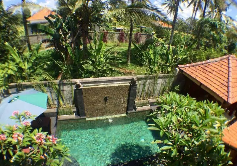 Fotos del hotel Uma Padi Villa:  14