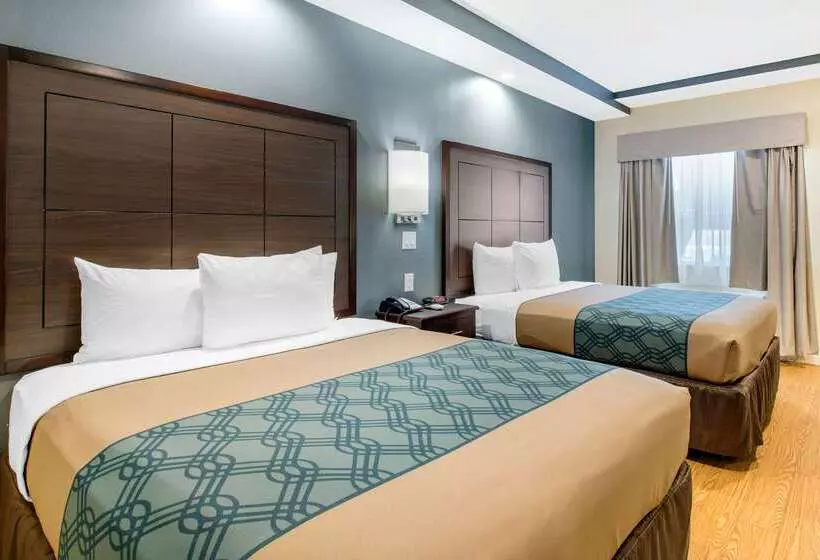 Fotos del hotel Econo Lodge Inn & Suites Houston Willowbrook:  17