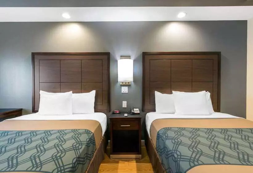 Econo Lodge Inn & Suites Houston Willowbrook