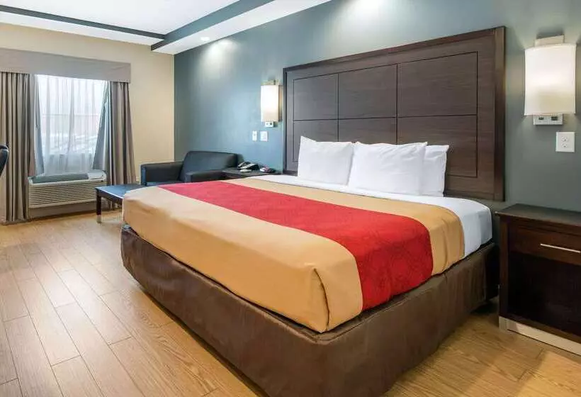 Fotos del hotel Econo Lodge Inn & Suites Houston Willowbrook:  11