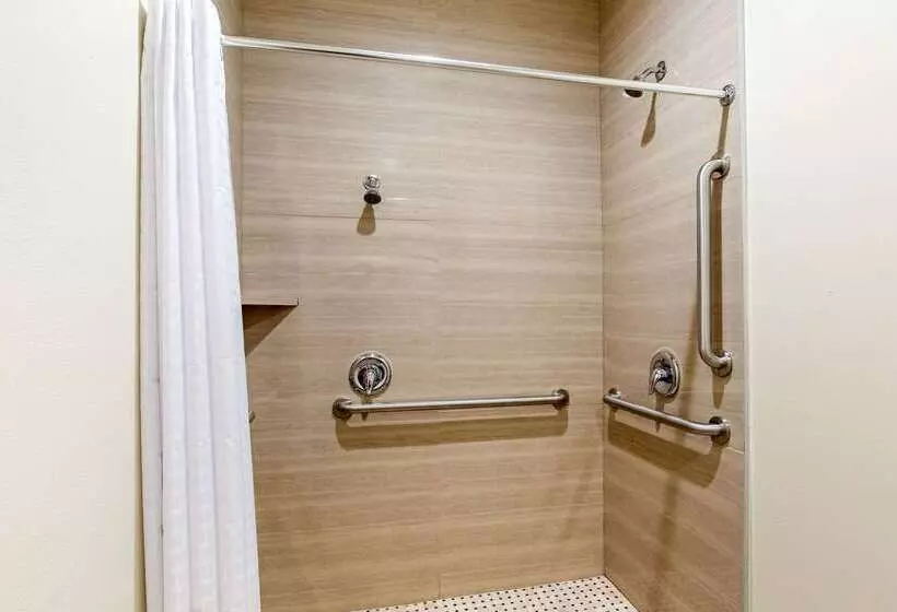 Fotos del hotel Econo Lodge Inn & Suites Houston Willowbrook:  9