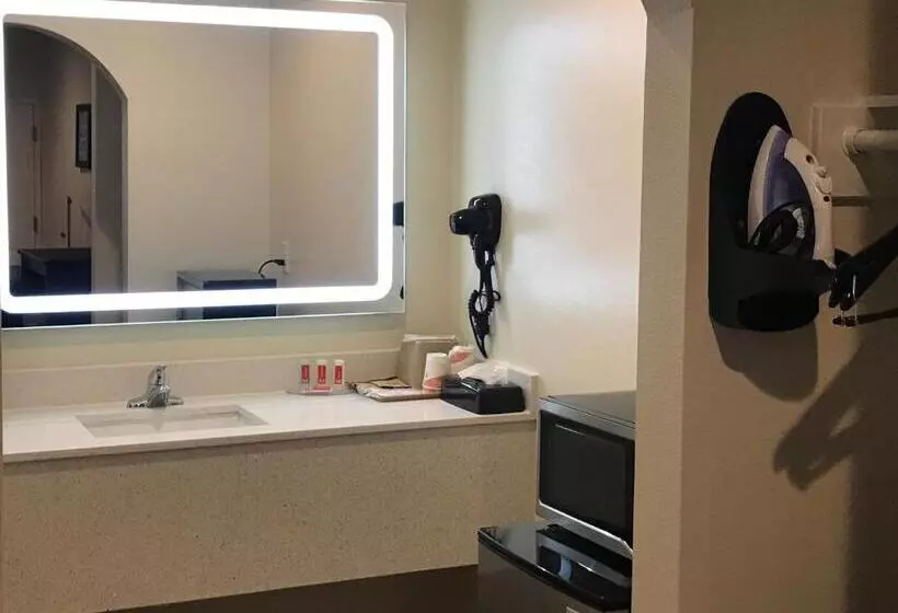 Fotos del hotel Econo Lodge Inn & Suites Houston Willowbrook:  24