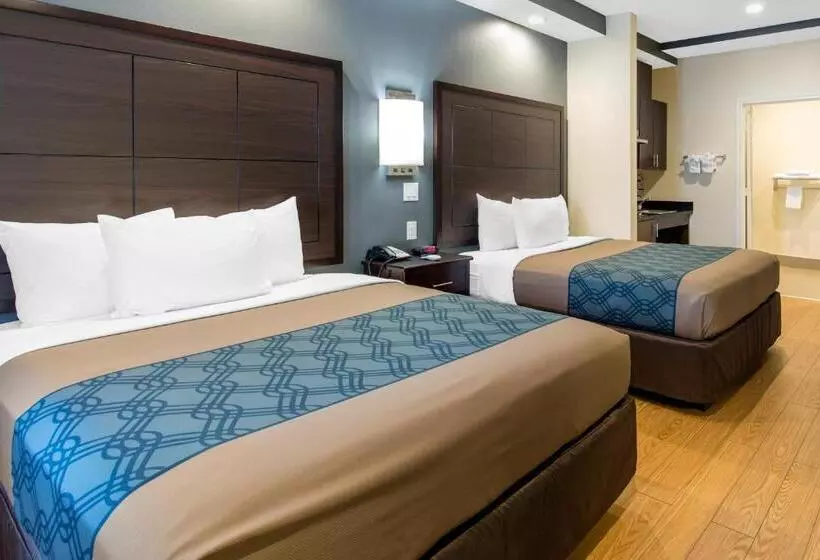 Fotos del hotel Econo Lodge Inn & Suites Houston Willowbrook:  21