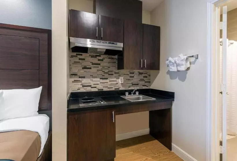 Fotos del hotel Econo Lodge Inn & Suites Houston Willowbrook:  23