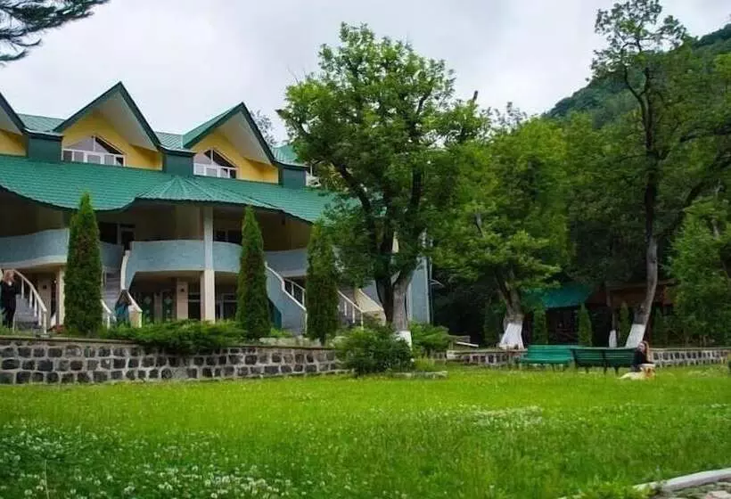 Fotos del hotel Artsvik  Tsaghkadzor:  25
