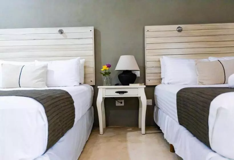 Siesta Holbox