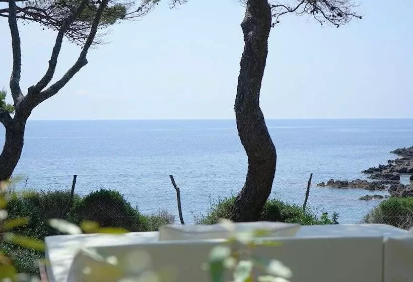 Fotos del hotel Pleta De Mar, Luxury  By Nature  Adults Only:  12