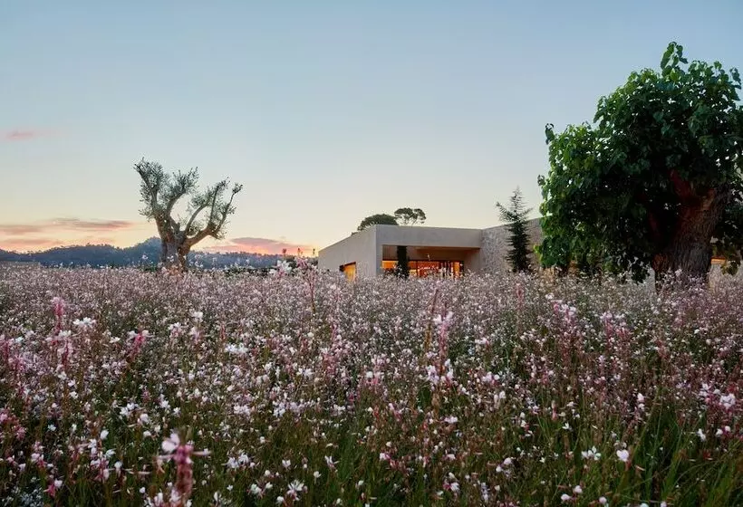 Fotos del hotel Pleta De Mar, Luxury  By Nature  Adults Only:  15