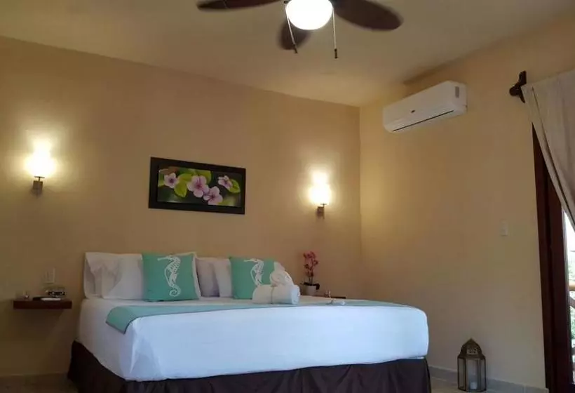 Fotos del hotel Moon Dreams Yum Balam:  17