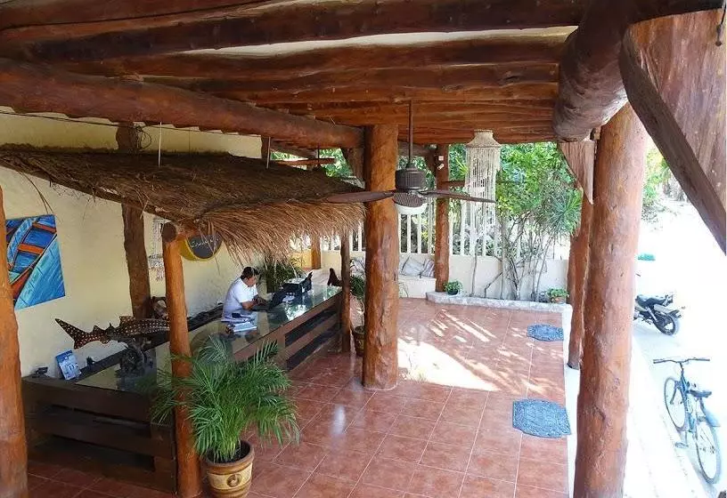 Fotos del hotel Moon Dreams Yum Balam:  13