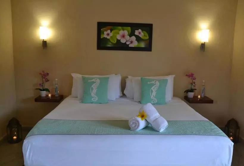 Fotos del hotel Moon Dreams Yum Balam:  10