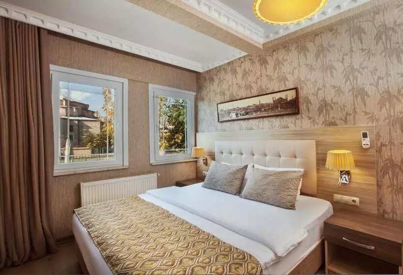 Fotos del hotel Sultanahmet Inn:  11