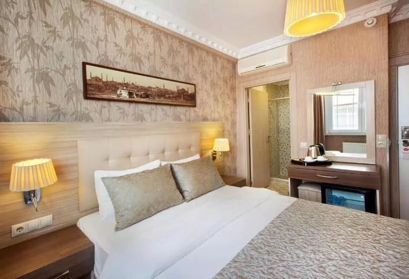 Fotos del hotel Sultanahmet Inn:  21
