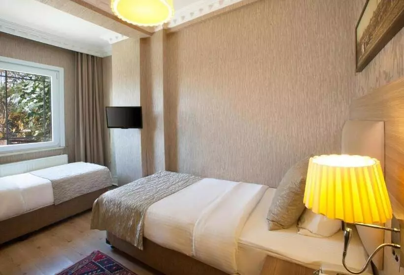 Fotos del hotel Sultanahmet Inn:  22
