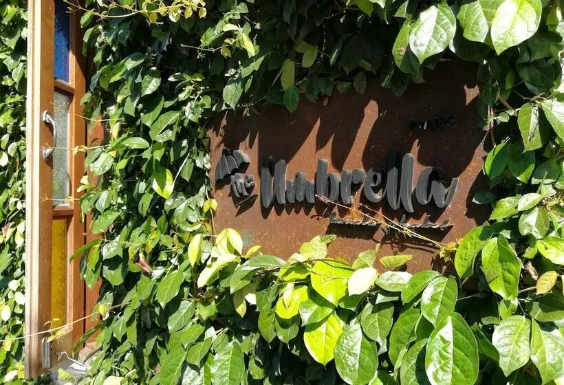 Fotos del hotel The Umbrella House:  20