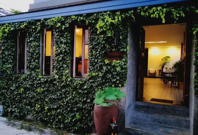 Fotos del hotel The Umbrella House:  14