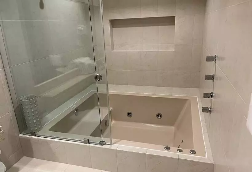 Fotos del hotel Catedral:  12