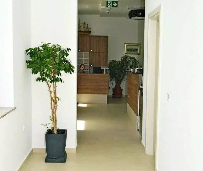 Fotos del hotel Boutique Hotel Mali Raj:  3