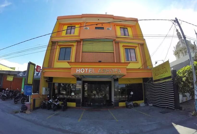 Fotos del hotel Ashofa:  6