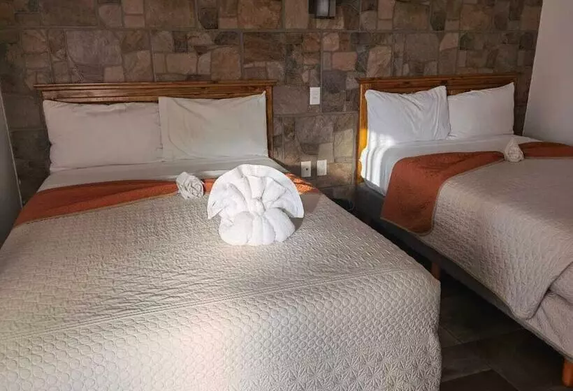 Fotos del hotel Venados Inn:  24