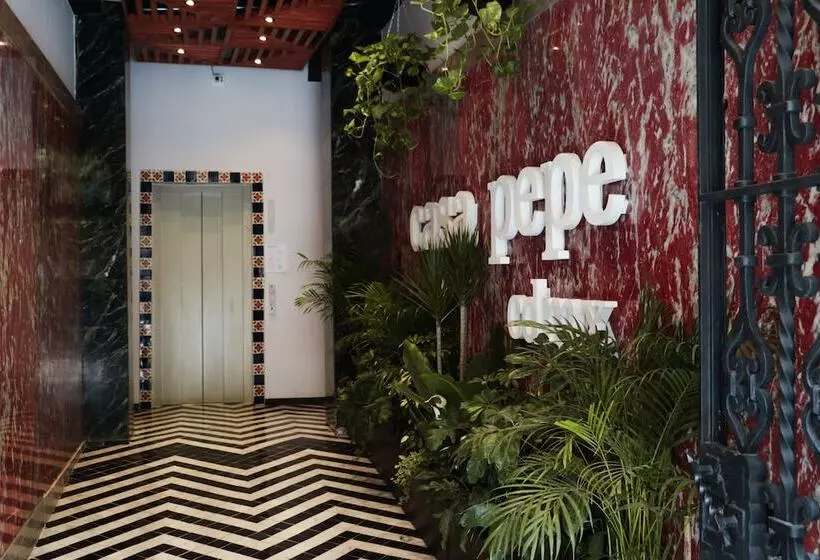 Fotos del hotel Casa Pepe:  2