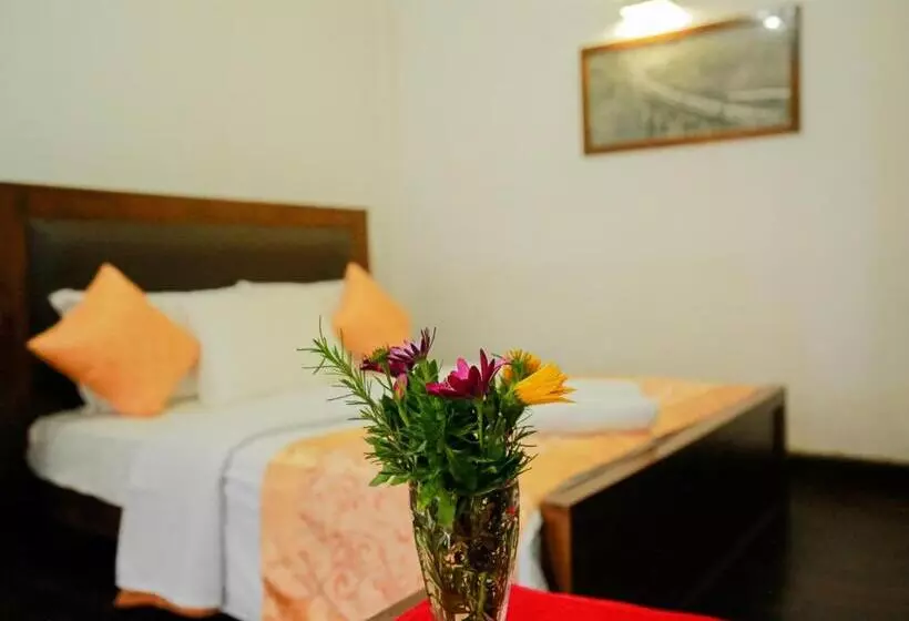 Fotos del hotel Top Venice:  17