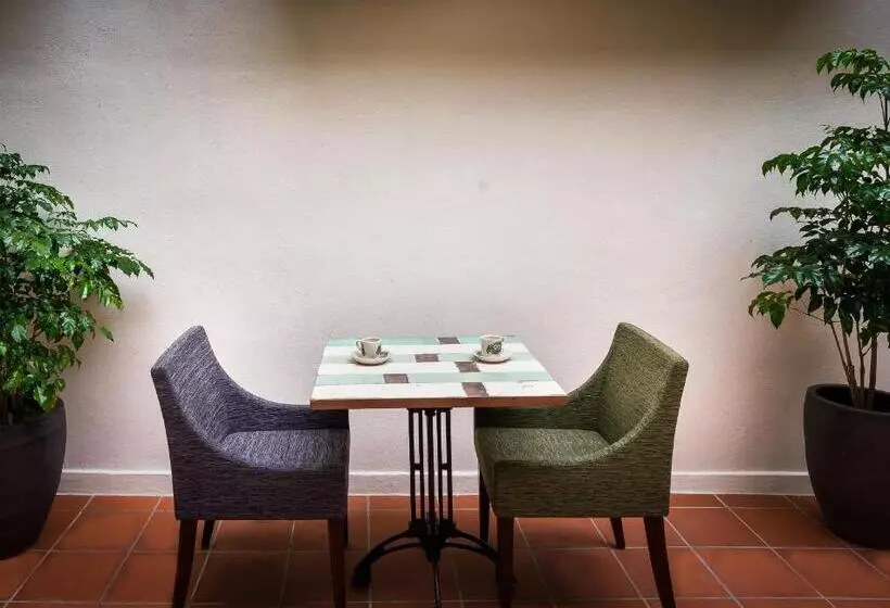 Fotos del hotel Treasures Hotel And Suites:  5