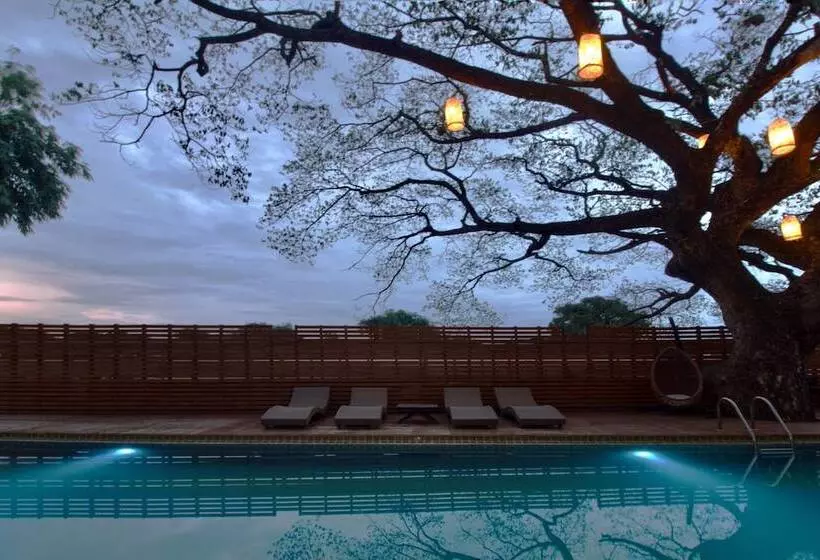 Fotos del hotel Bamboori Boutique Resort:  9