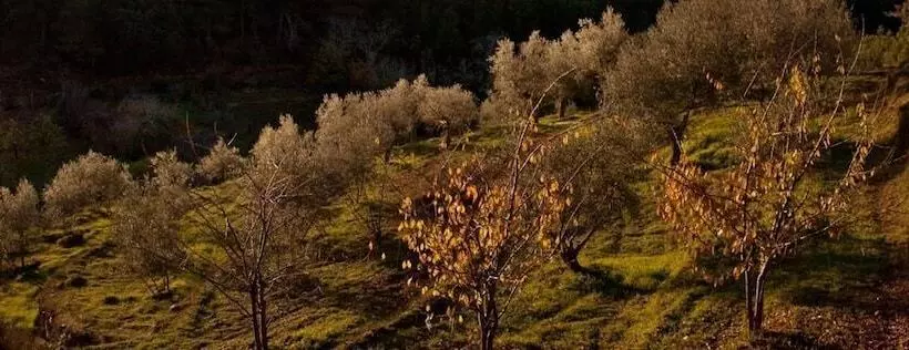 Fotos del hotel Akassa Chozos Bioclimaticos Mesegal:  11