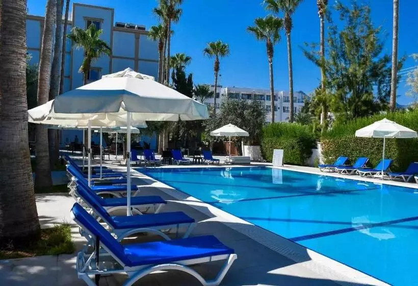 Fotos del hotel Park Palace:  1