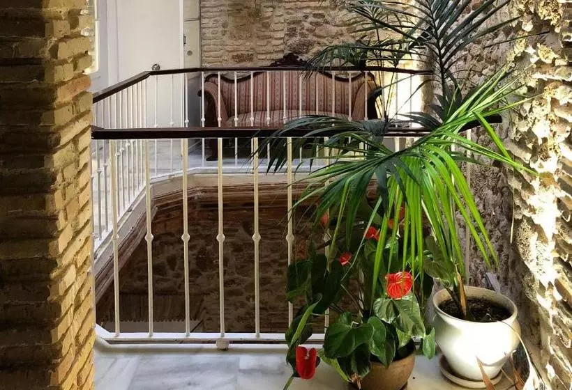 Fotos del hotel Apartamentos Rosario 1:  14