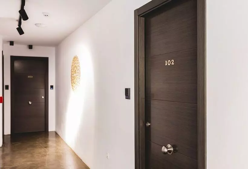 Fotos del hotel Boutique X:  7
