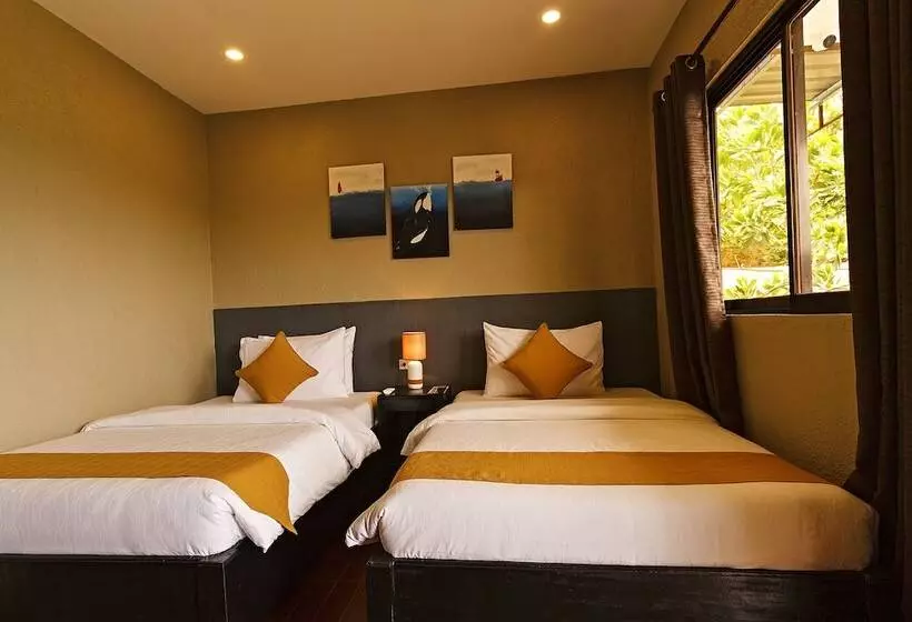Fotos del hotel Vela Terraces:  22