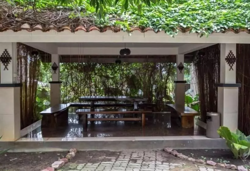 Fotos del hotel Nipah Island Resort:  18