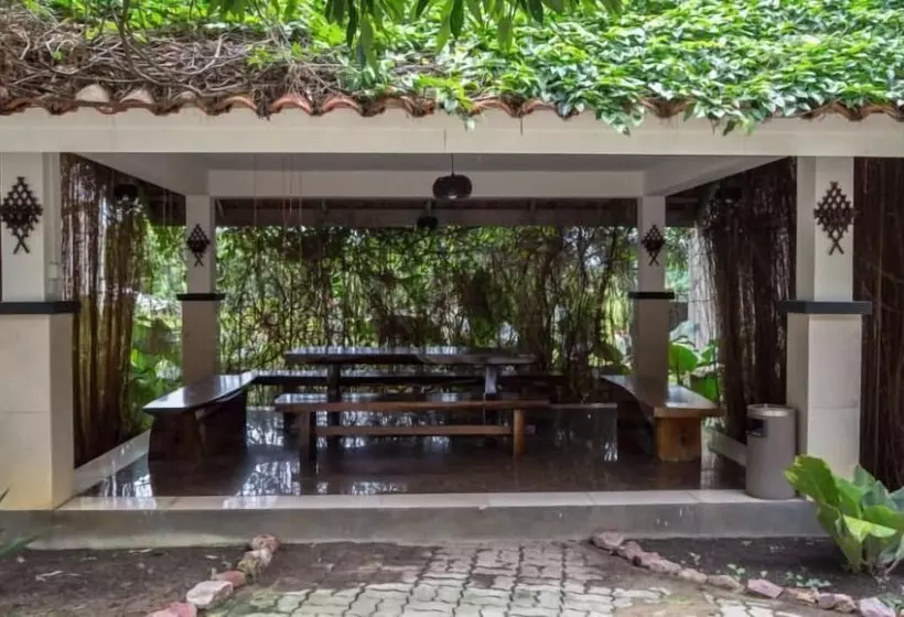 Fotos del hotel Nipah Island Resort:  12