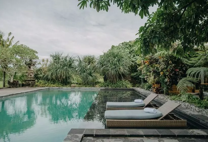 Fotos del hotel Nyoman Karsa Bungalow:  7