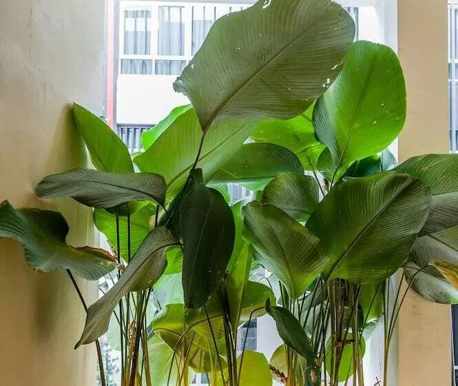 Fotos del hotel Bunk & Bilik Hotel Sri Petaling:  9
