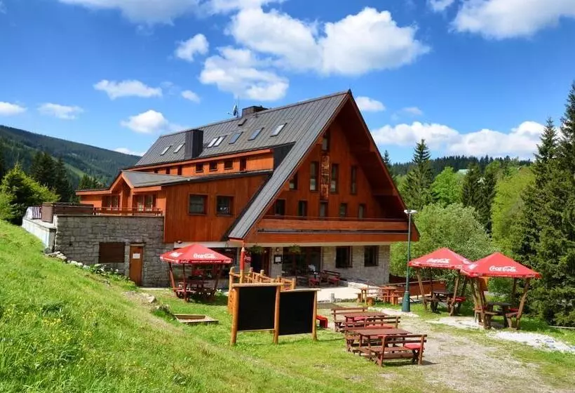 Fotos del hotel Ski  Stoh:  14