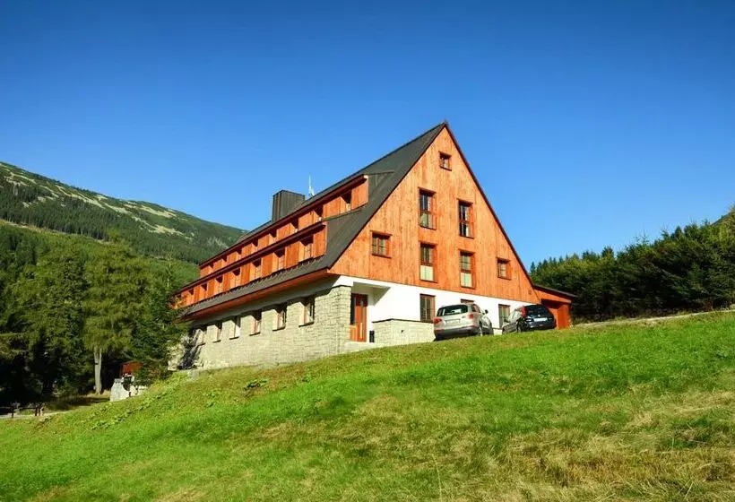 Ski  Stoh