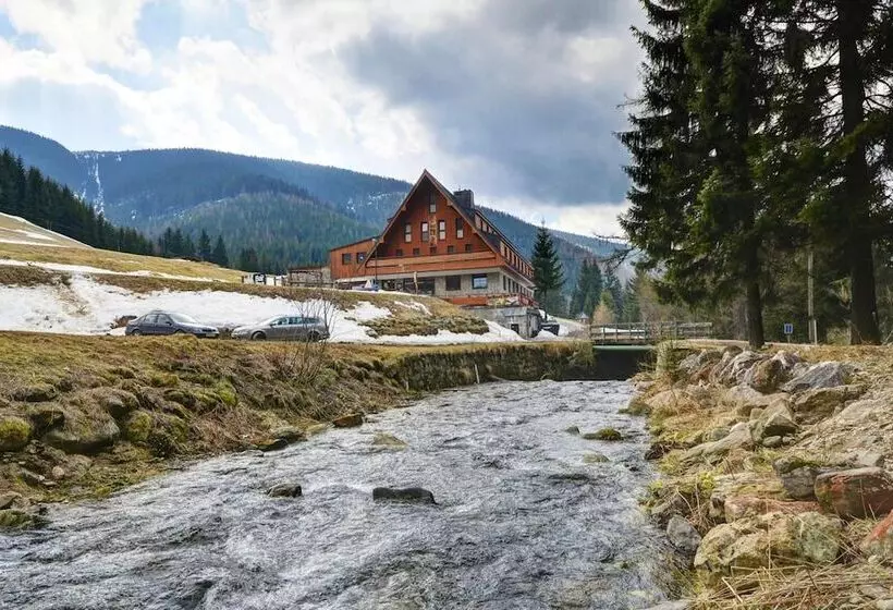 Fotos del hotel Ski  Stoh:  10