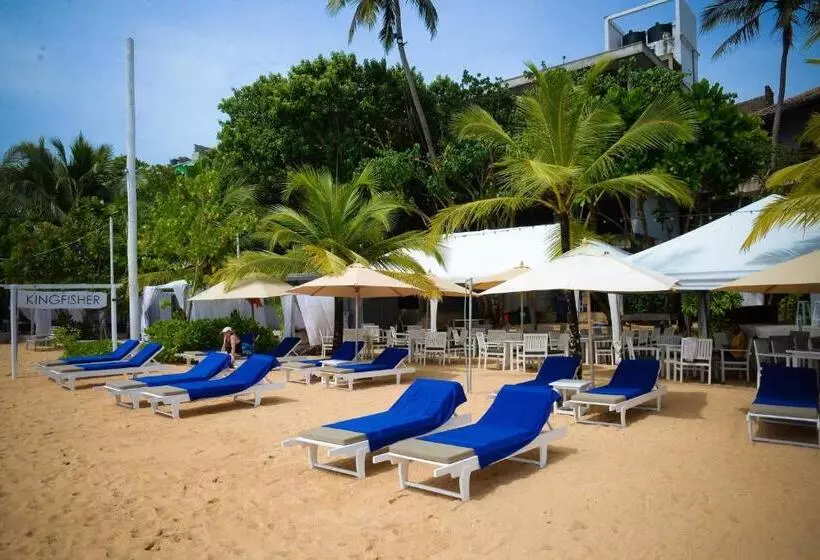 Fotos del hotel Kingfisher:  2